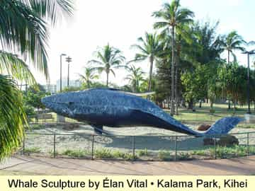 Cathedral City Artist: Elan Vital, Elans Fantastic Patrons | WhaleKalama